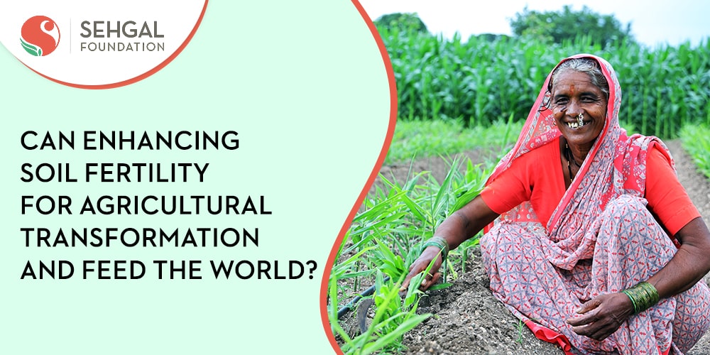 Can enhancing soil fertility for agricultural transformation and feed the world?