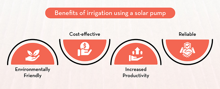 Benefits of irrigation using a solar pump