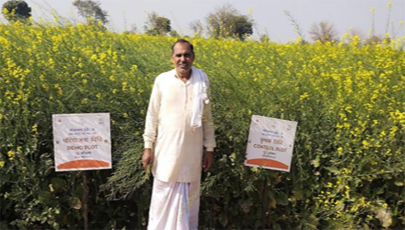 Fortification by micronutrients for effective mustard production