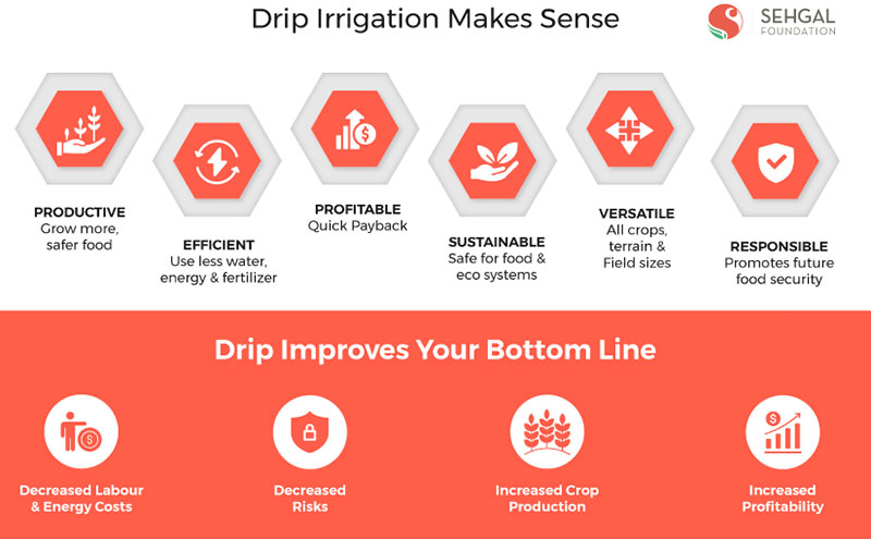 Advantages of drip irrigation systems