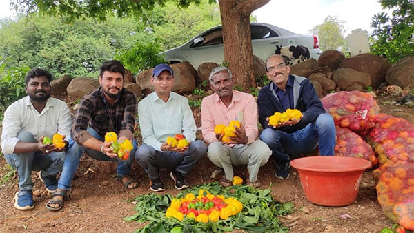 FPO Witness Success from Capsicum Cultivation