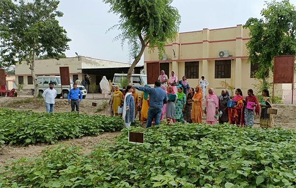 Successful Organic Farming Training in Rajasthan