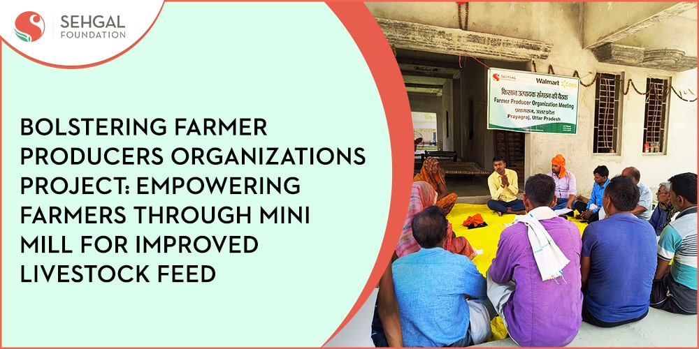 Empowering Farmers through Mini Mill for Improved Livestock Feed