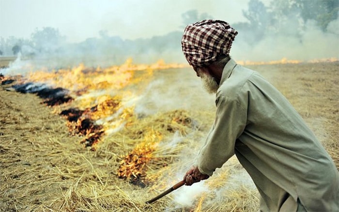 Crop Residue Burning