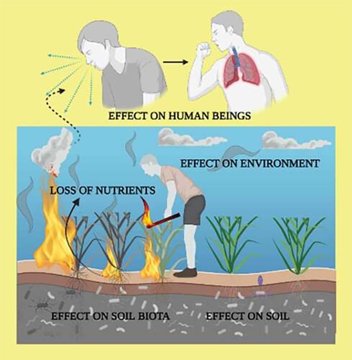 Poor air quality poses severe health risks