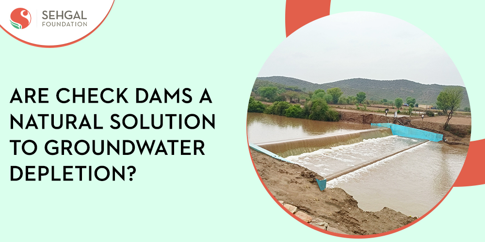 Are Check Dams A Natural Solution to Groundwater Depletion?