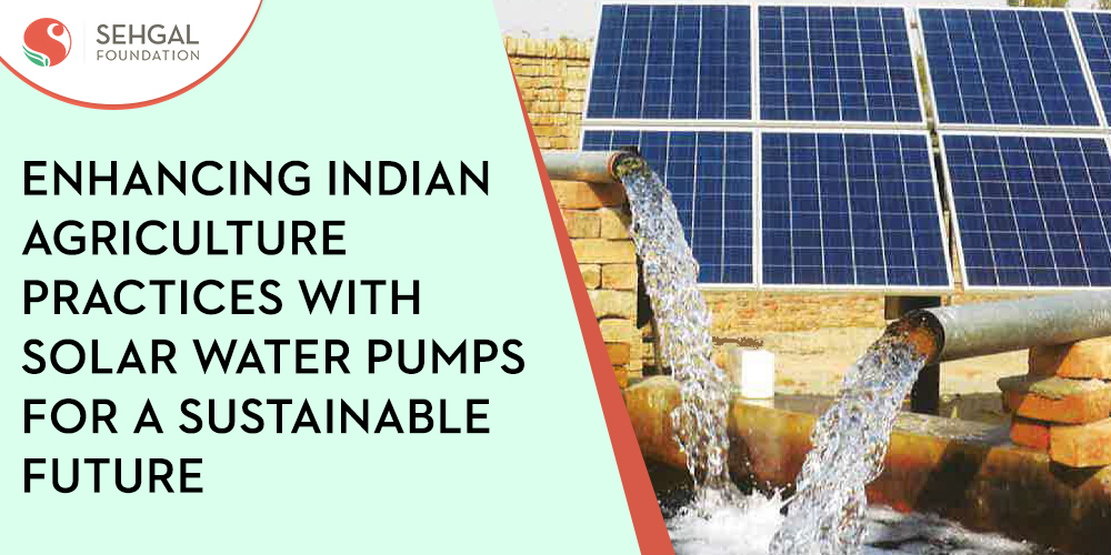 enhancing-indian-agriculture-practices-with-solar-water-pumps-for-a-sustainable-future-thumb