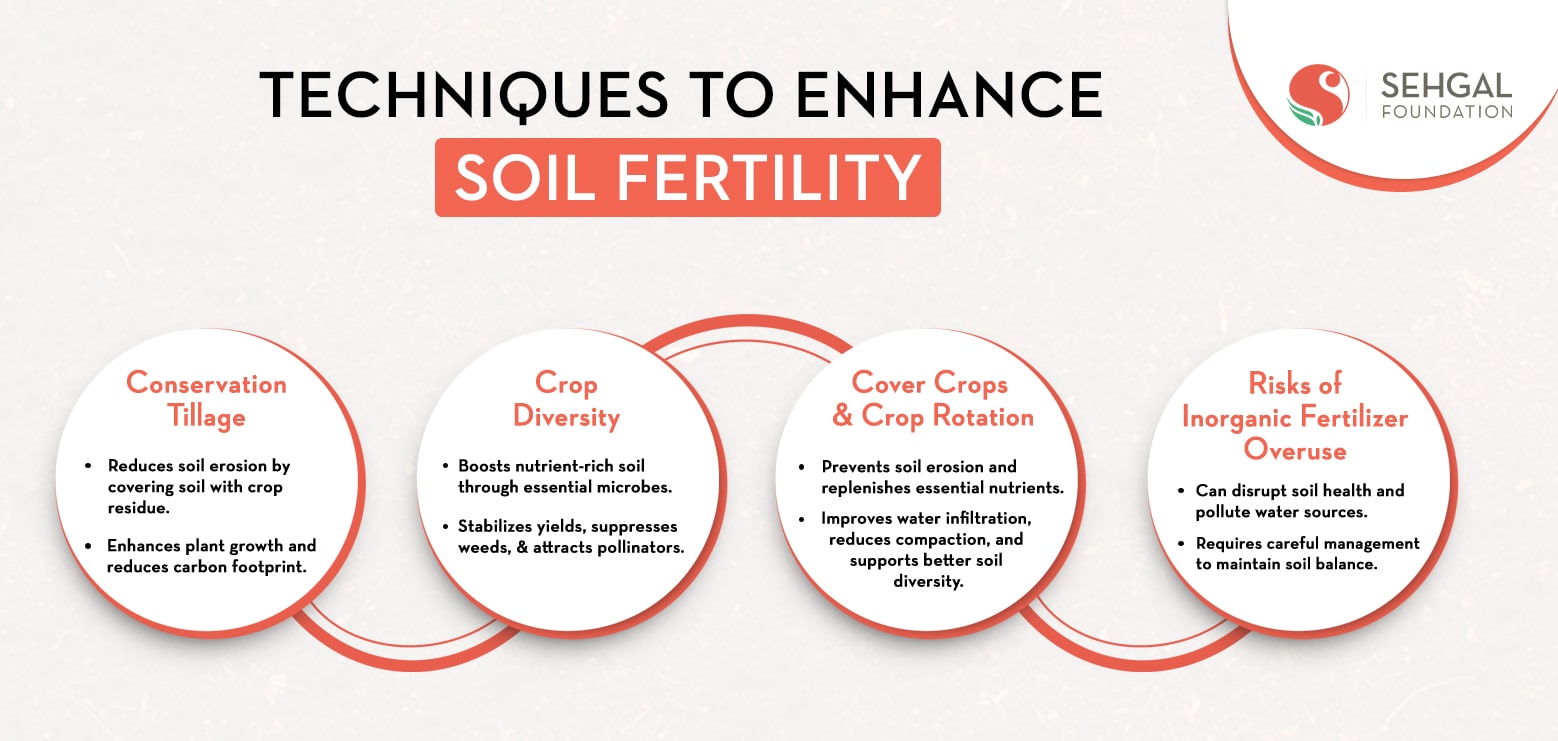 Techniques to enhance Soil Fertility